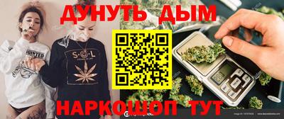 гидра Камышлов