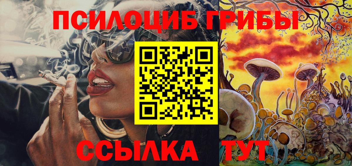 Зеленодольск  Псилоцибиновые грибы MAGIC MUSHROOMS  купить  цена  Вход с VPN 